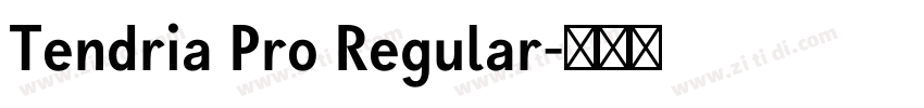 Tendria Pro Regular字体转换